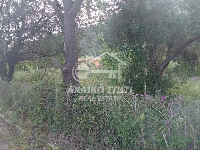 Οικόπεδο 2.225 τ.μ. πρός πώληση, Αιτωλοακαρνανία, Χάλκεια