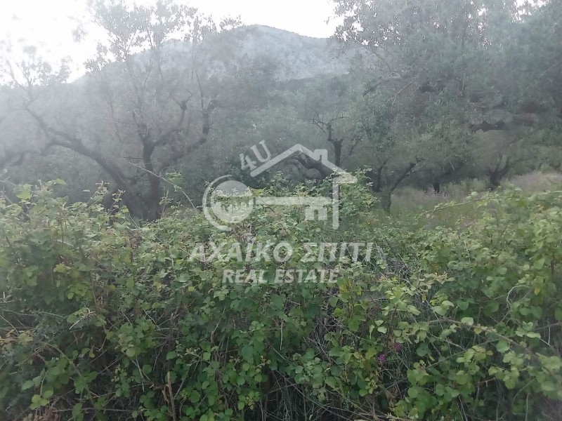 Οικόπεδο 2.225 τ.μ. πρός πώληση, Αιτωλοακαρνανία, Χάλκεια