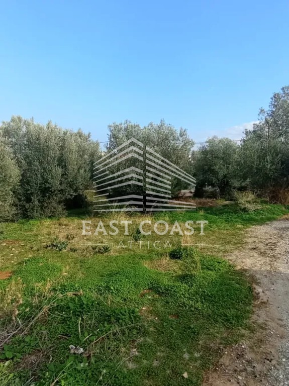 Αγροτεμάχια 1.327 τ.μ. πρός πώληση, Αθήνα - Ανατολικά Προάστια, Νέα Μάκρη