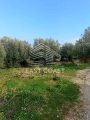 Αγροτεμάχια 1.327 τ.μ. για πώληση