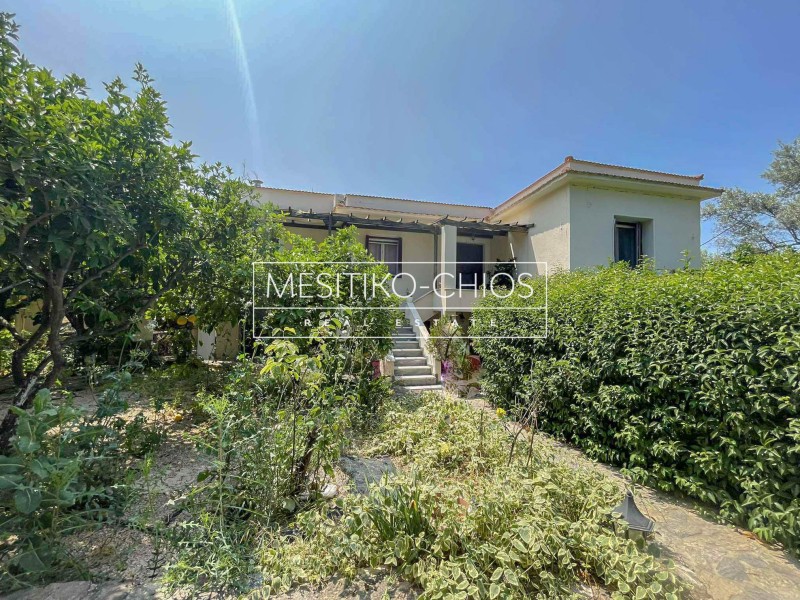 Μονοκατοικία 247,54 τ.μ. πρός πώληση, Ν. Χίου, Χίος