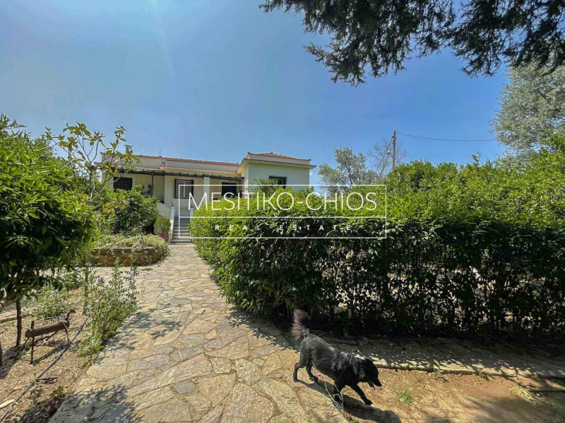 Μονοκατοικία 247,54 τ.μ. πρός πώληση, Ν. Χίου, Χίος