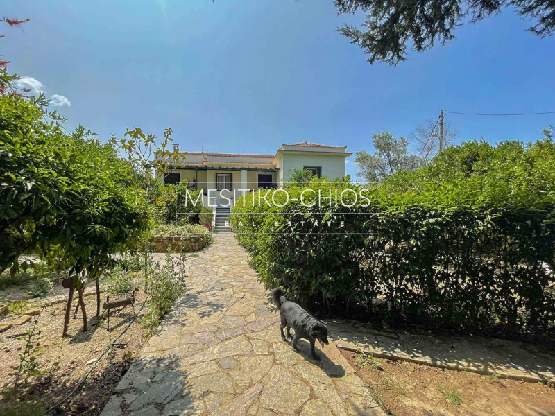 Μονοκατοικία 247,54 τ.μ. πρός πώληση, Ν. Χίου, Χίος