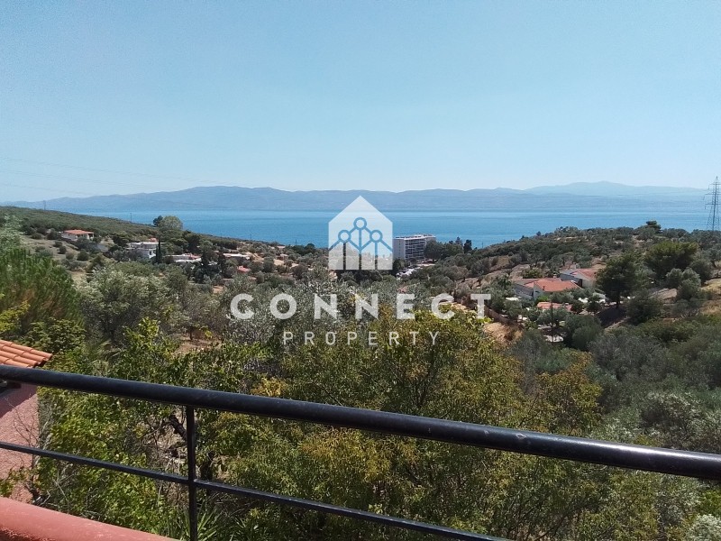 Μονοκατοικία 184 τ.μ. προς πώληση, Εύβοια, Αμάρυνθος