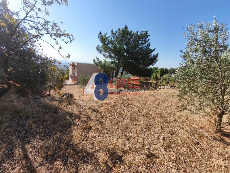 Οικόπεδο 943 τ.μ. προς πώληση, Καμποχώρια