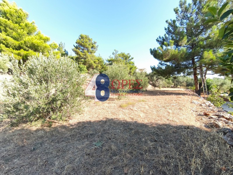 Οικόπεδο 943 τ.μ. προς πώληση, Καμποχώρια