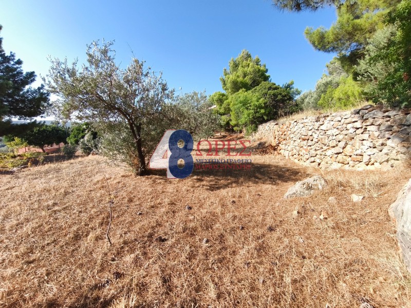 Οικόπεδο 943 τ.μ. προς πώληση, Καμποχώρια