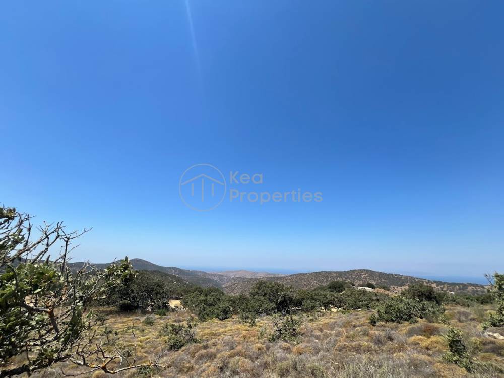 Αγροτεμάχια 4.000 τ.μ. πρός πώληση, Κυκλάδες, Κέα