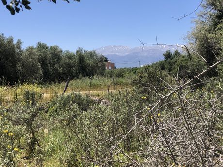 Οικόπεδο 4.948τ.μ. για πώληση-Βάμος » Δράπανος