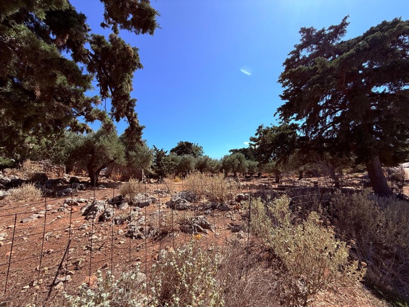 Οικόπεδο 2.511 τ.μ. προς πώληση, Δράπανος