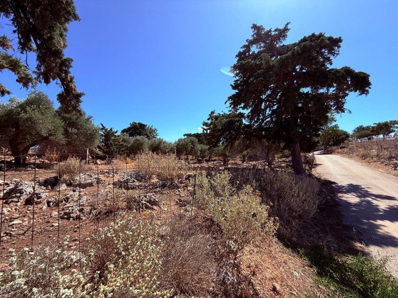 Οικόπεδο 2.511 τ.μ. προς πώληση, Δράπανος