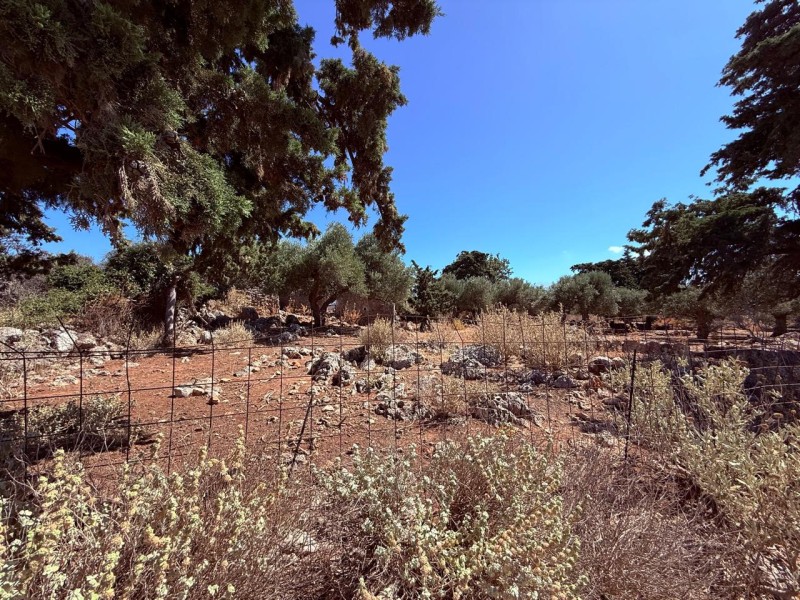 Οικόπεδο 2.511 τ.μ. προς πώληση, Δράπανος