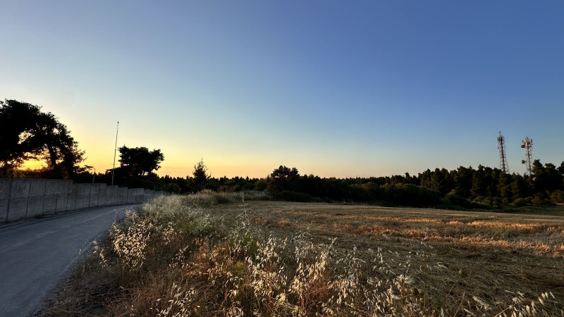 Αγροτεμάχια 16.505 τ.μ. πρός πώληση, Χαλκιδική, Κασσάνδρα