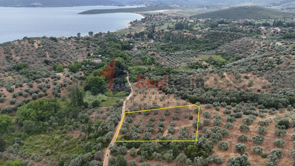 Αγροτεμάχια 2.681 τ.μ. πρός πώληση, Μαγνησία, Πτελεός
