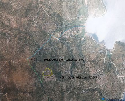 Αγροτεμάχια 10.594 τ.μ. για πώληση