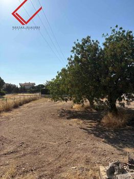 Οικόπεδο 591τ.μ. για πώληση-Καλύβια θορικού » Λαγονήσι
