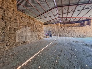 Αποθήκη 810 τ.μ. για ενοικίαση, Αργολίδα, Μιδέα-thumb-4