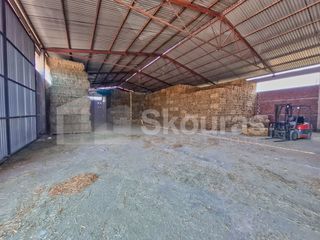 Αποθήκη 810 τ.μ. για ενοικίαση, Αργολίδα, Μιδέα-thumb-22