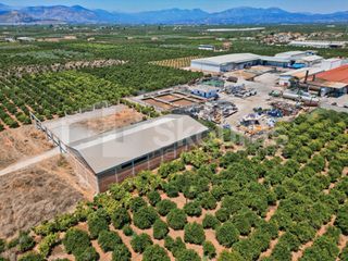 Αποθήκη 810 τ.μ. για ενοικίαση, Αργολίδα, Μιδέα-thumb-14