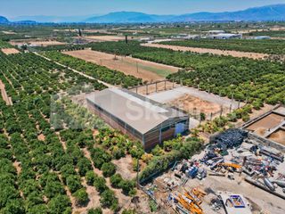 Αποθήκη 810 τ.μ. για ενοικίαση, Αργολίδα, Μιδέα-thumb-16