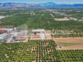 Αποθήκη 810 τ.μ. για ενοικίαση, Αργολίδα, Μιδέα-thumb-12