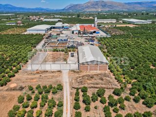 Αποθήκη 810 τ.μ. για ενοικίαση, Αργολίδα, Μιδέα-thumb-10