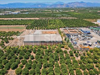 Αποθήκη 810 τ.μ. για ενοικίαση, Αργολίδα, Μιδέα-thumb-15