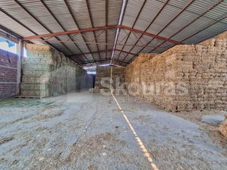 Αποθήκη 810 τ.μ. για ενοικίαση, Αργολίδα, Μιδέα-thumb-24