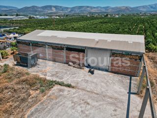 Αποθήκη 810 τ.μ. για ενοικίαση, Αργολίδα, Μιδέα-thumb-20