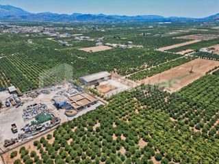 Αποθήκη 810 τ.μ. για ενοικίαση, Αργολίδα, Μιδέα-thumb-11