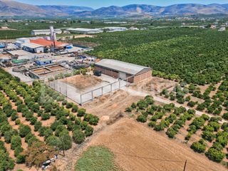 Αποθήκη 810 τ.μ. για ενοικίαση, Αργολίδα, Μιδέα-thumb-13
