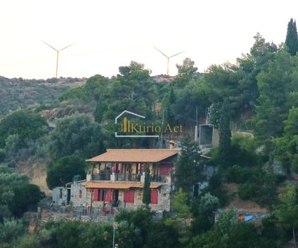 Μονοκατοικία 150τ.μ. για πώληση-Ταμύνες » Μηλάκι