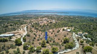 Αγροτεμάχια 18.736 τ.μ. για πώληση, Αργολίδα, Κρανίδι-thumb-3