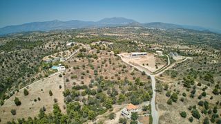 Αγροτεμάχια 18.736 τ.μ. για πώληση, Αργολίδα, Κρανίδι-thumb-21