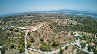 Αγροτεμάχια 18.736 τ.μ. για πώληση