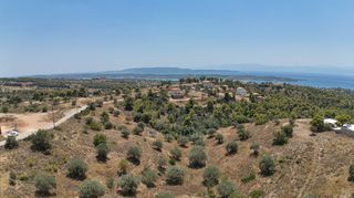 Αγροτεμάχια 18.736 τ.μ. για πώληση, Αργολίδα, Κρανίδι-thumb-1
