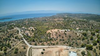 Αγροτεμάχια 18.736 τ.μ. για πώληση, Αργολίδα, Κρανίδι-thumb-14