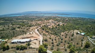 Αγροτεμάχια 18.736 τ.μ. για πώληση, Αργολίδα, Κρανίδι-thumb-11