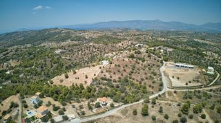 Αγροτεμάχια 18.736 τ.μ. για πώληση, Αργολίδα, Κρανίδι-thumb-20