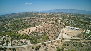 Αγροτεμάχια 18.736 τ.μ. για πώληση, Αργολίδα, Κρανίδι-thumb-9