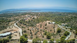 Αγροτεμάχια 18.736 τ.μ. για πώληση, Αργολίδα, Κρανίδι-thumb-8