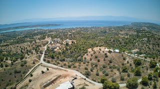 Αγροτεμάχια 18.736 τ.μ. για πώληση, Αργολίδα, Κρανίδι-thumb-7