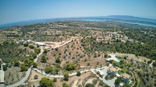 Αγροτεμάχια 18.736 τ.μ. για πώληση, Αργολίδα, Κρανίδι-thumb-12