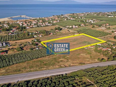 Parcel 19.000sqm for sale-Orfano » Kariani