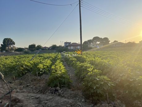 Land plot 6.977sqm for sale-Orchomenos » Pirgos