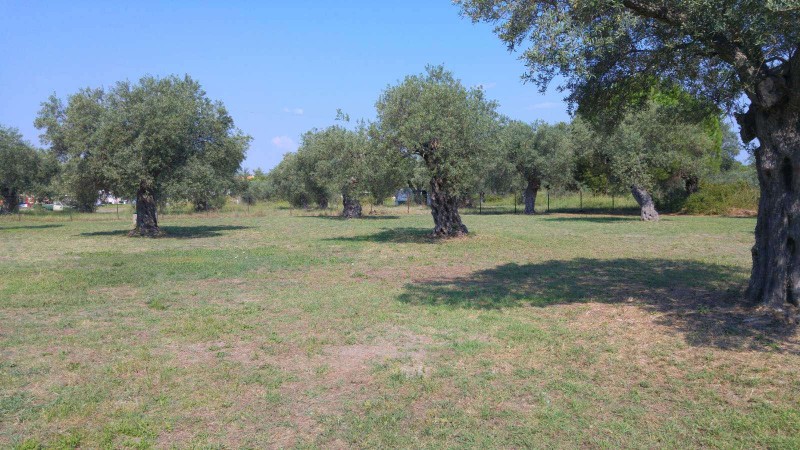 Συγκρότημα διαμερισμάτων 480 τ.μ. προς πώληση, Βουρβουρού