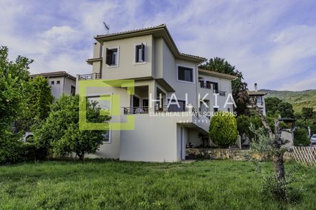 Μεζονέτα 366τ.μ. για πώληση-Πορταριά » Άλλη μεριά