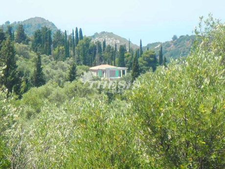 Αγροτεμάχια 2.724τ.μ. για πώληση-Λευκάδα » Καρυάς