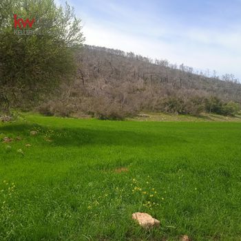Αγροτεμάχια 1.459,48τ.μ. για πώληση-Βίλια