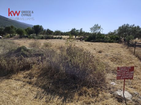 Αγροτεμάχια 1.376,3τ.μ. για πώληση-Βίλια